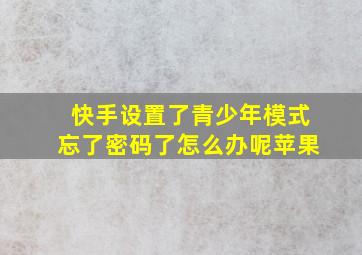 快手设置了青少年模式忘了密码了怎么办呢苹果