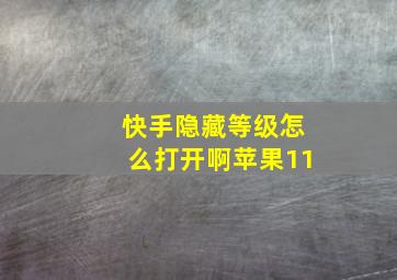 快手隐藏等级怎么打开啊苹果11