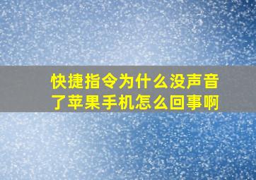 快捷指令为什么没声音了苹果手机怎么回事啊