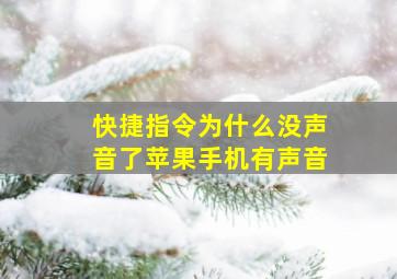 快捷指令为什么没声音了苹果手机有声音