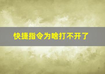 快捷指令为啥打不开了