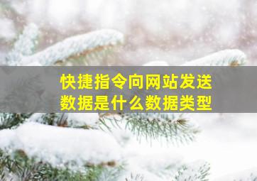 快捷指令向网站发送数据是什么数据类型