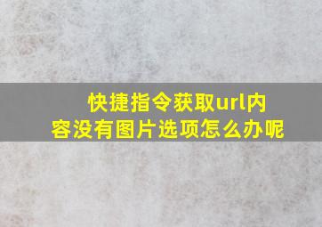 快捷指令获取url内容没有图片选项怎么办呢