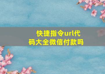 快捷指令url代码大全微信付款吗