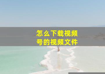 怎么下载视频号的视频文件