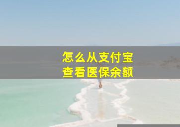 怎么从支付宝查看医保余额