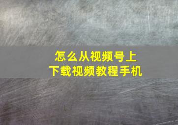 怎么从视频号上下载视频教程手机