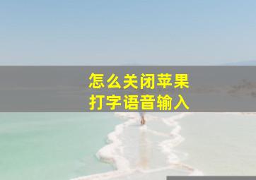 怎么关闭苹果打字语音输入