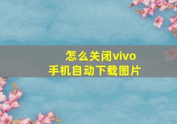 怎么关闭vivo手机自动下载图片