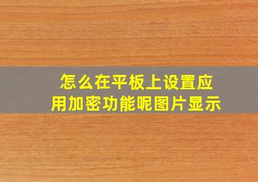 怎么在平板上设置应用加密功能呢图片显示