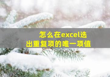 怎么在excel选出重复项的唯一项值