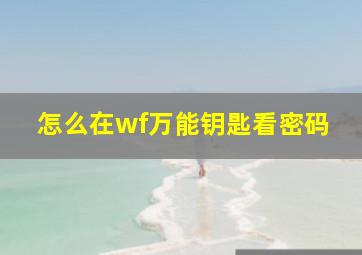 怎么在wf万能钥匙看密码