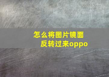 怎么将图片镜面反转过来oppo