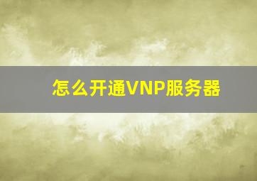 怎么开通VNP服务器