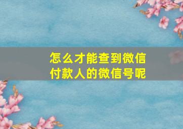 怎么才能查到微信付款人的微信号呢