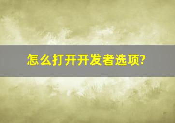 怎么打开开发者选项?