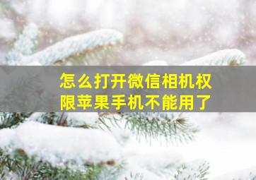 怎么打开微信相机权限苹果手机不能用了