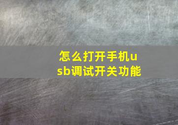 怎么打开手机usb调试开关功能