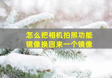 怎么把相机拍照功能镜像换回来一个镜像