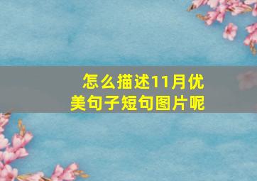 怎么描述11月优美句子短句图片呢