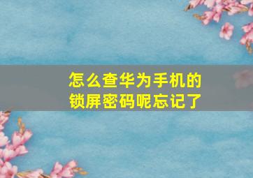 怎么查华为手机的锁屏密码呢忘记了