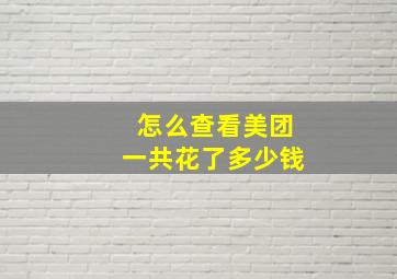 怎么查看美团一共花了多少钱