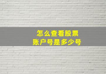 怎么查看股票账户号是多少号