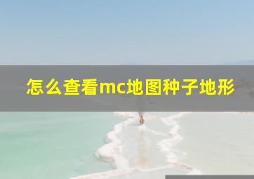 怎么查看mc地图种子地形