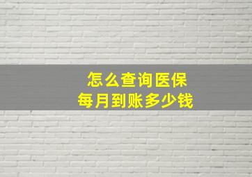 怎么查询医保每月到账多少钱