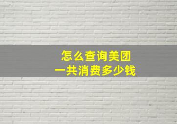 怎么查询美团一共消费多少钱