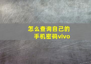 怎么查询自己的手机密码vivo