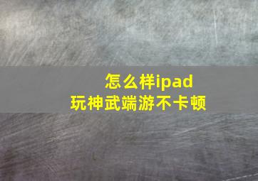 怎么样ipad玩神武端游不卡顿