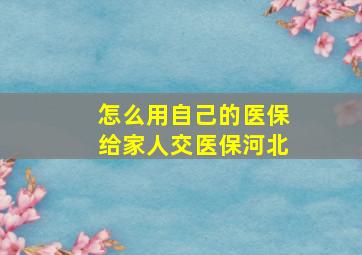 怎么用自己的医保给家人交医保河北