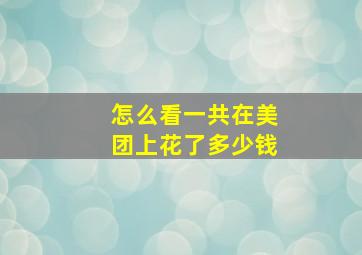 怎么看一共在美团上花了多少钱