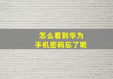 怎么看到华为手机密码忘了呢