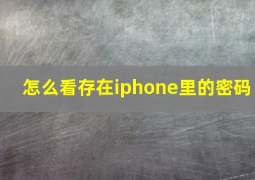 怎么看存在iphone里的密码