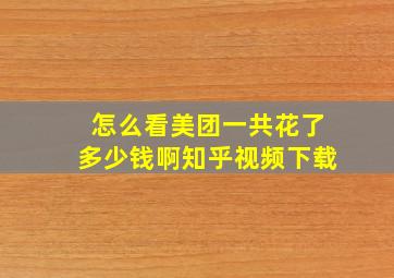 怎么看美团一共花了多少钱啊知乎视频下载