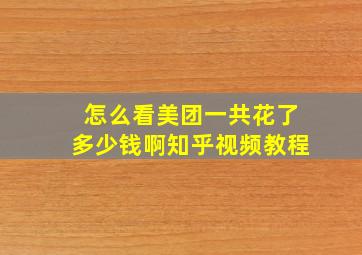 怎么看美团一共花了多少钱啊知乎视频教程