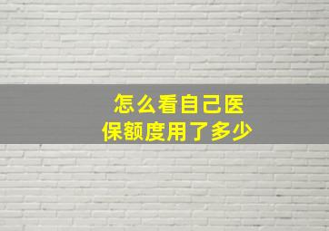 怎么看自己医保额度用了多少