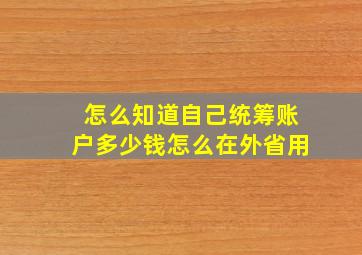 怎么知道自己统筹账户多少钱怎么在外省用