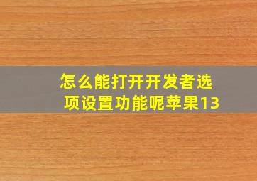 怎么能打开开发者选项设置功能呢苹果13