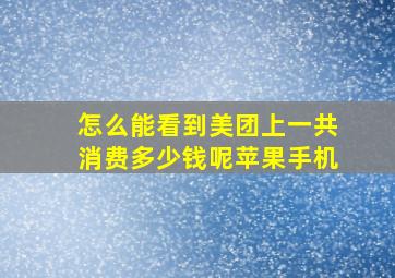 怎么能看到美团上一共消费多少钱呢苹果手机