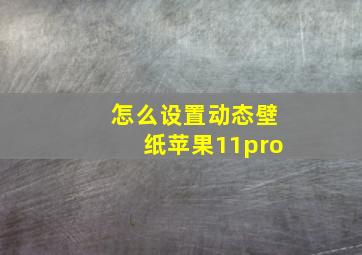 怎么设置动态壁纸苹果11pro