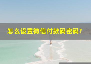 怎么设置微信付款码密码?