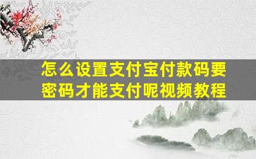 怎么设置支付宝付款码要密码才能支付呢视频教程