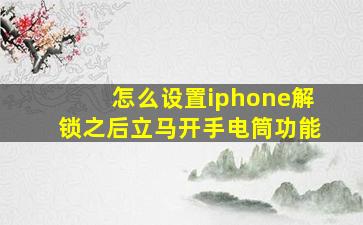 怎么设置iphone解锁之后立马开手电筒功能