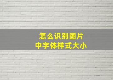 怎么识别图片中字体样式大小