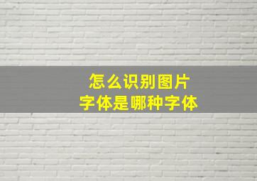 怎么识别图片字体是哪种字体