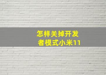 怎样关掉开发者模式小米11