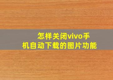 怎样关闭vivo手机自动下载的图片功能